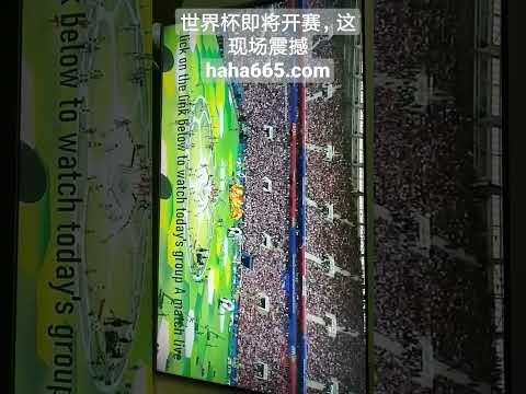 楊政力挺國,籃無罪,恪守正道,Tcg天成彩票,彩票平台,在线投注,彩票预测,高频彩票