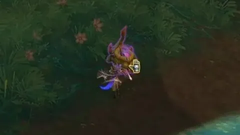 梅西重返训练场，康复进展图文并茂