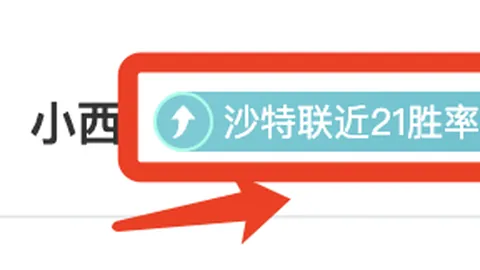 熱刺引援無果，孔蒂走後列維未補強引援