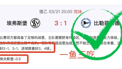 大乐透期号专家质合分析：西乙连霸专家推荐前区十码喜中13球